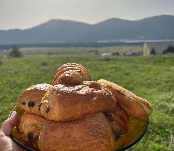 Cosy Avec Jardin Les Angles (Pyrenees-Orientales)